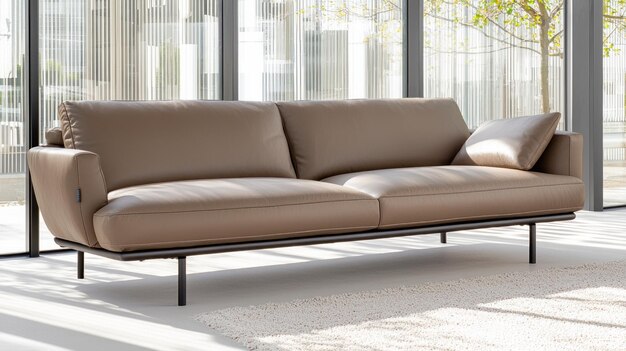 Brown leather sofa